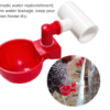 Bebedero Automático Copa Con Conector T En PVC Diámetro Interno 1/2" Para Pollos, Patos, Gallinas, Aves.