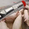 Bebedero Automático De Pezón Para Cerdo, Con Pistón En Acero