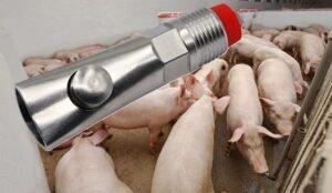 Bebedero Automático De Pezón Para Cerdo, Con Pistón En Acero
