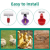 Conector T En PVC Diámetro 1/2" Para Bebederos Automáticos, Pollos, Gallinas, Aves