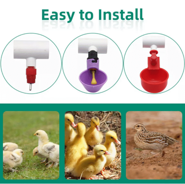 Conector T En PVC Diámetro 1/2" Para Bebederos Automáticos, Pollos, Gallinas, Aves