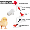 Conector T En PVC Diámetro 1/2" Para Bebederos Automáticos, Pollos, Gallinas, Aves