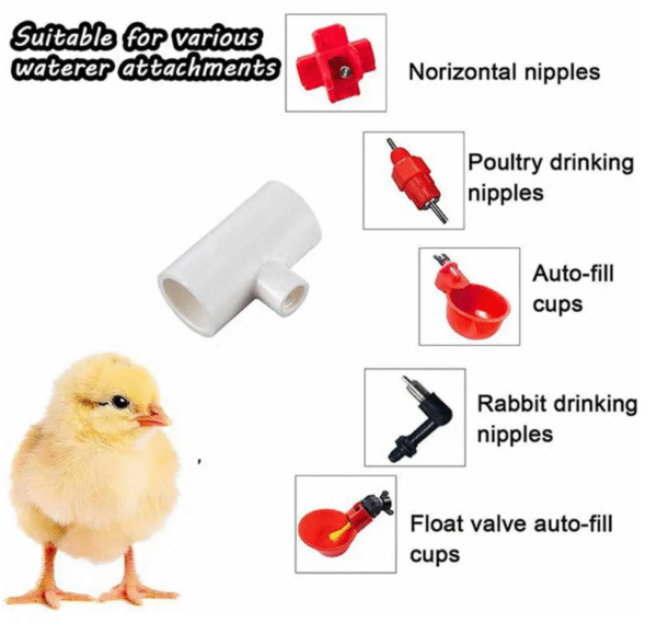 Conector T En PVC Diámetro 1/2" Para Bebederos Automáticos, Pollos, Gallinas, Aves
