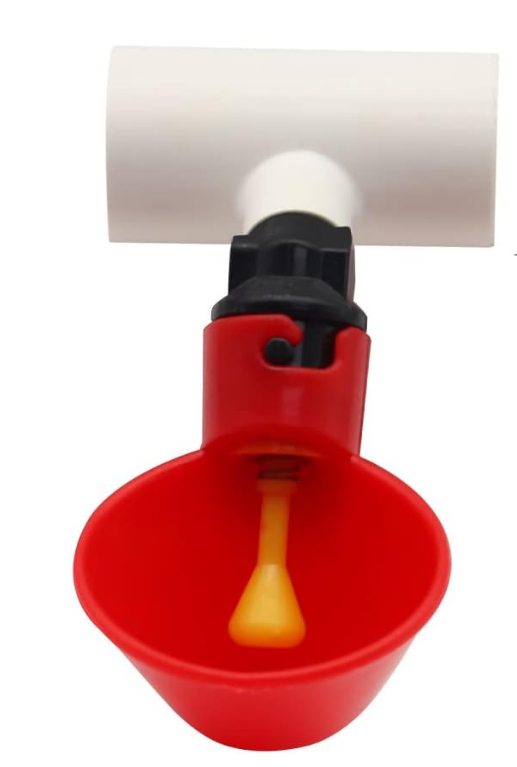 Bebedero Automático Taza Con Conector T En PVC Diámetro Interno 1/2" Para Pollos, Gallinas, Patos, Gansos, Codornices