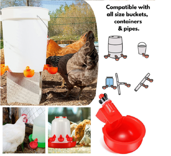 Bebedero automático copa Aves, Gallinas, Pollos X 10 Unidades con 10 Tuercas (rosca) negras