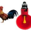 Bebedero automático Taza, Aves, Gallinas, Pollos, Codorniz, Paloma X 10 Unidades