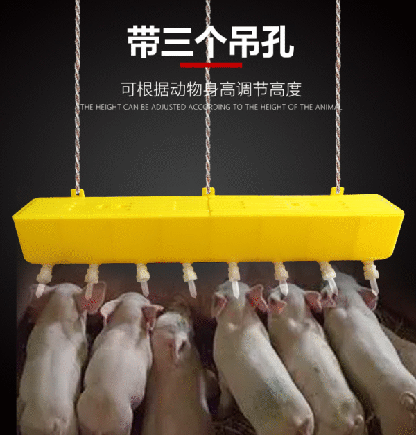 Alimentador Nodriza Para Lechones 8 Compartimentos Y Chupos