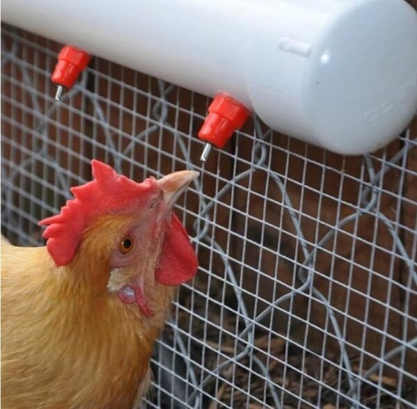 Bebedero Tipo Niple para Codorniz, Pollo, Gallina, Ave, Conejo giratorio de 360 grados X 100 unidades