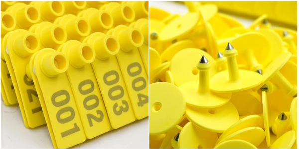 Chapetas Orejeras Ovinos, Cabras, Ovejas, Amarillo X 100 Unidades